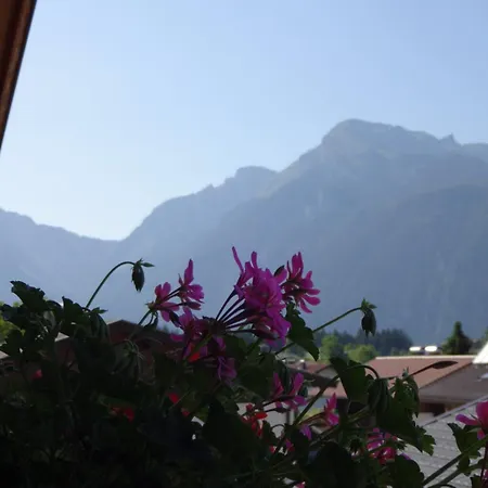 Haus Sylvia Lägenhet Reith im Alpbachtal