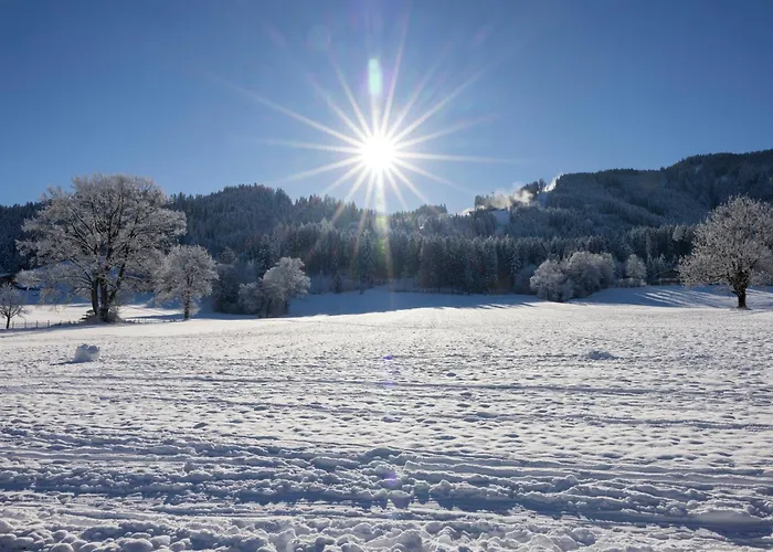 Appartement Haus Sylvia Reith im Alpbachtal