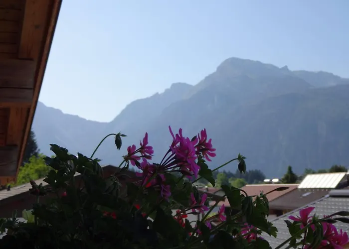 Haus Sylvia Appartement Reith im Alpbachtal